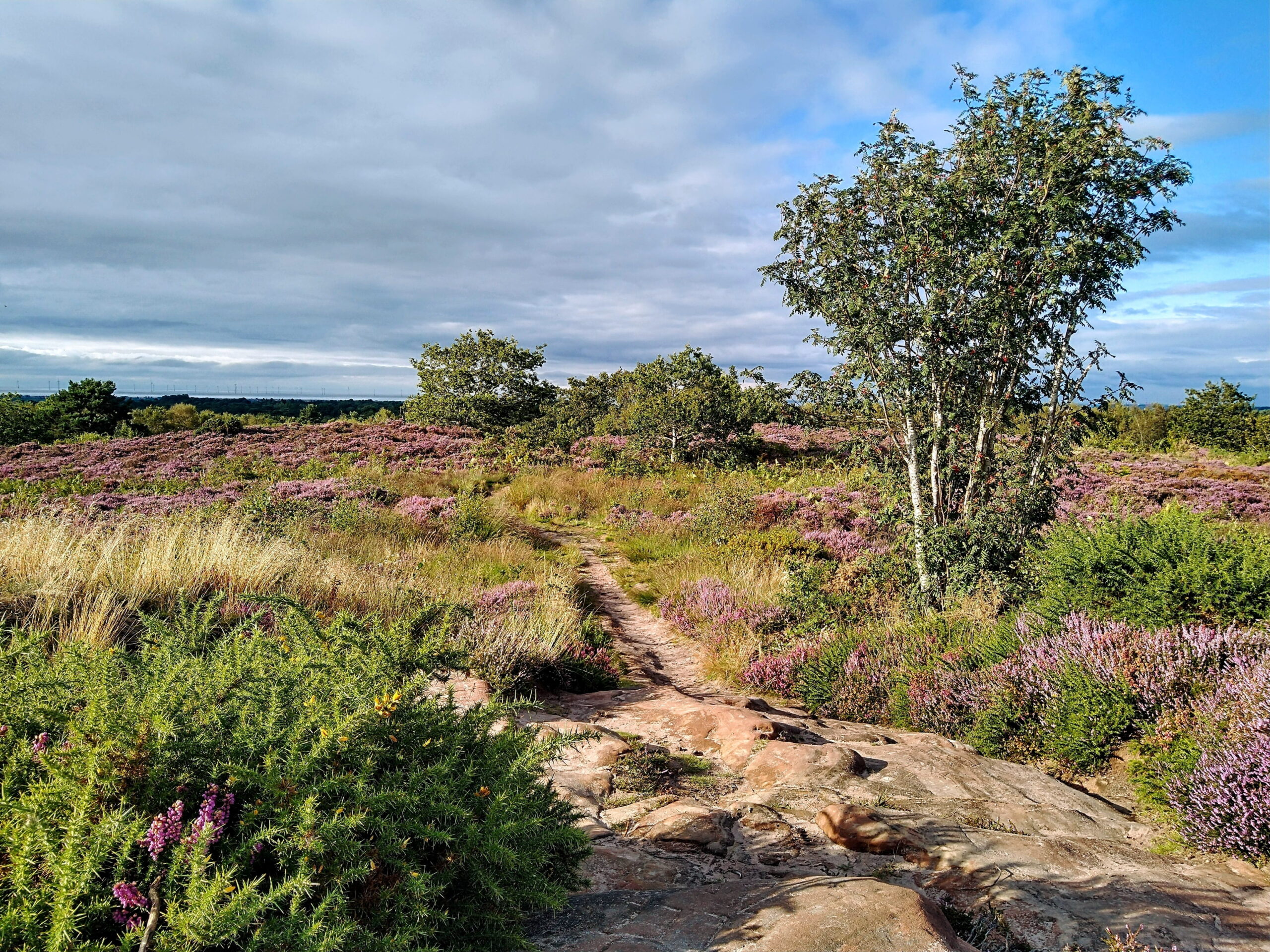 Thurstaston Common